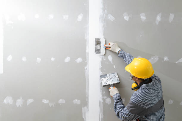 Best Comprehensive Air Testing for Mold Contaminants  in Sloan, NY