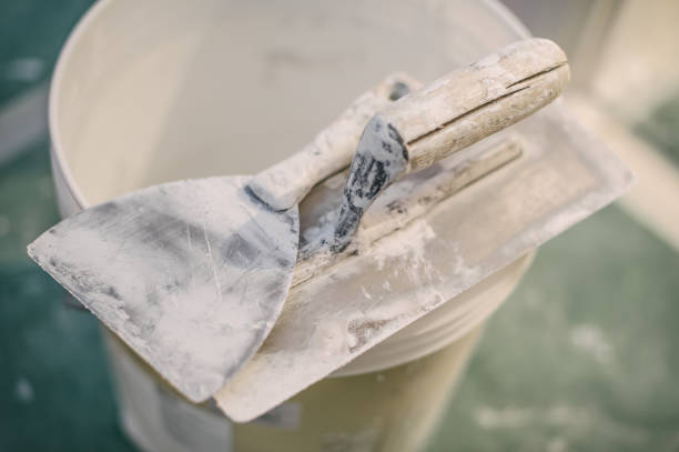 Best Mold-Related Health Consultation  in Sloan, NY